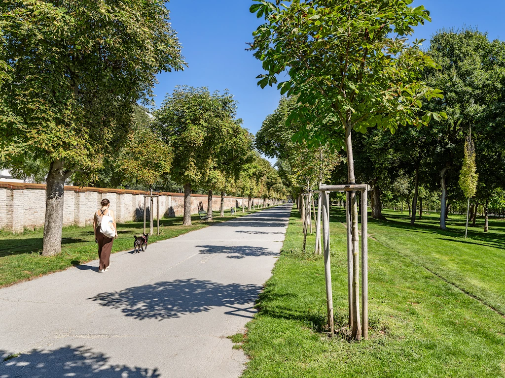 Umgebung Leben am Augarten