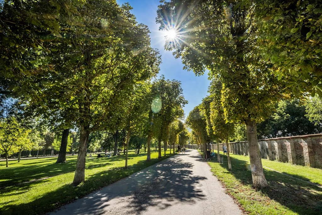 Umgebung Leben am Augarten