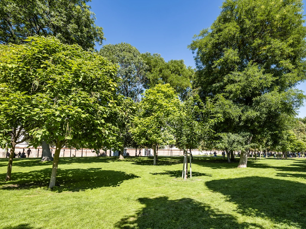 Umgebung Leben am Augarten